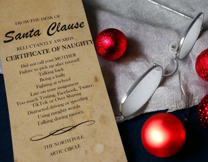 Waterfall Glen Soap Company Lump of Coal from Santa