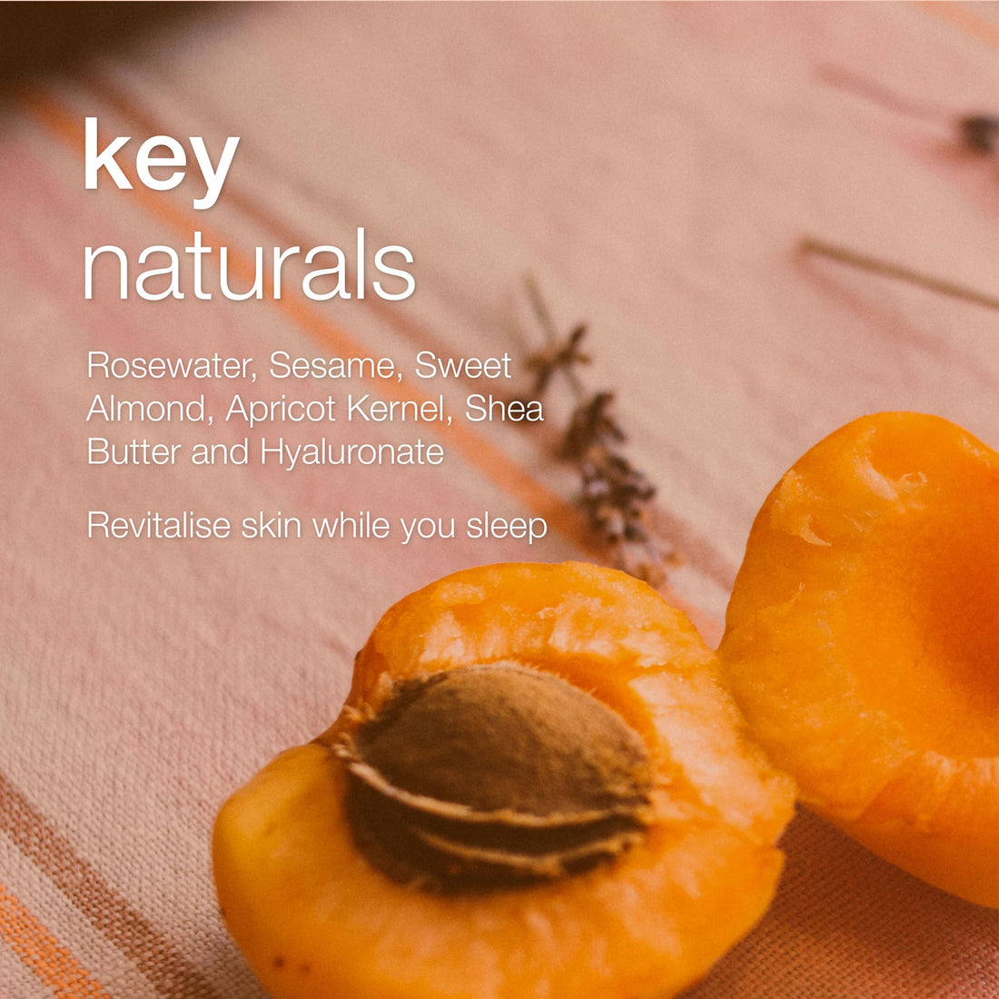 Natio Australia Rosewater Hydration Moisture Recharge Night Cream-Gel, 2.7 oz - Face Moisturizer with Shea Butter - Face Cream for All Skin Types