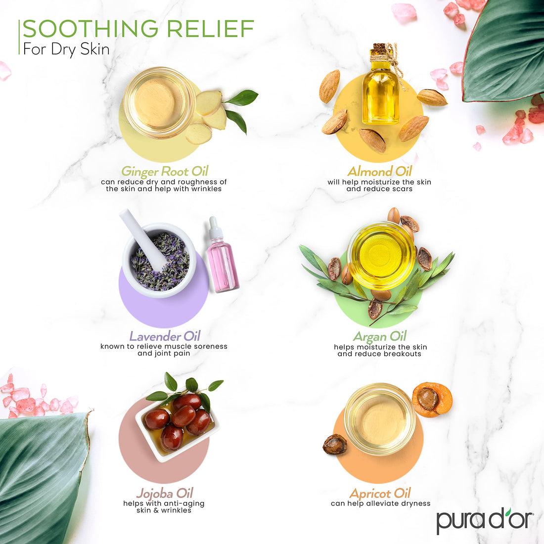 PURA D'OR 16 Oz Organic Massage Therapy Oil USDA Certified Almond, Apricot, Argan, Ginger, Jojoba, Lavender Oils for Silky & Softer Skin, Body Moisturizer & Skin Lubricant