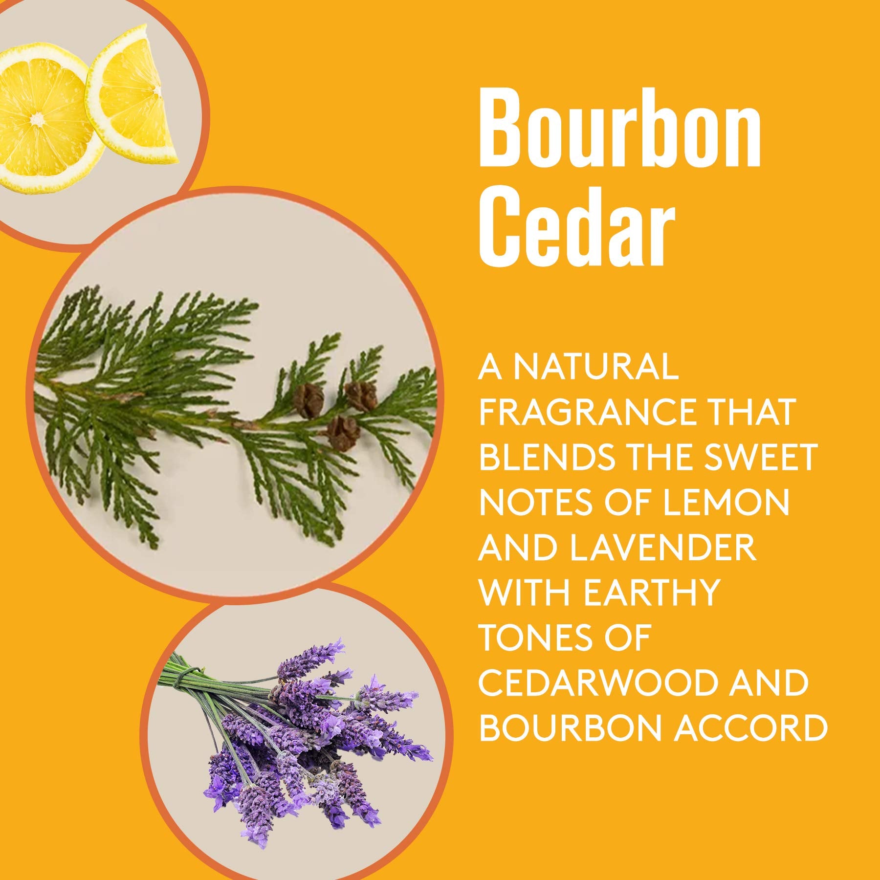 Barrel and Oak - Aluminum-Free Deodorant, Deodorant for Men, Essential Oil-Based Scent, 24-Hour Odor Protection, Cedarwood & Bourbon Aroma, Gentle on Sensitive Skin, Vegan (Bourbon Cedar, 2.7 oz)