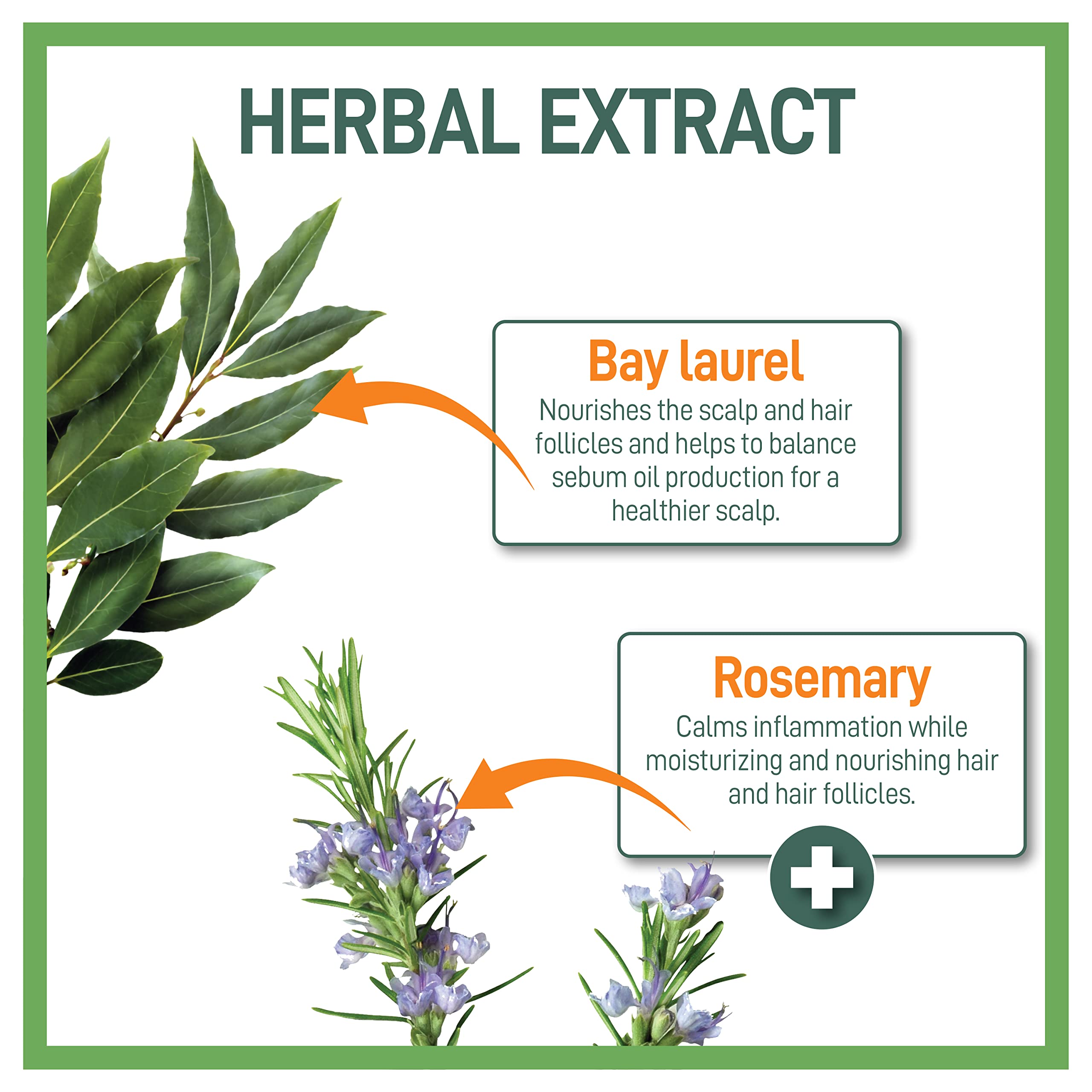 Moraz Moraz Natural Herbal Shampoo for Dry Hair, 500 ml