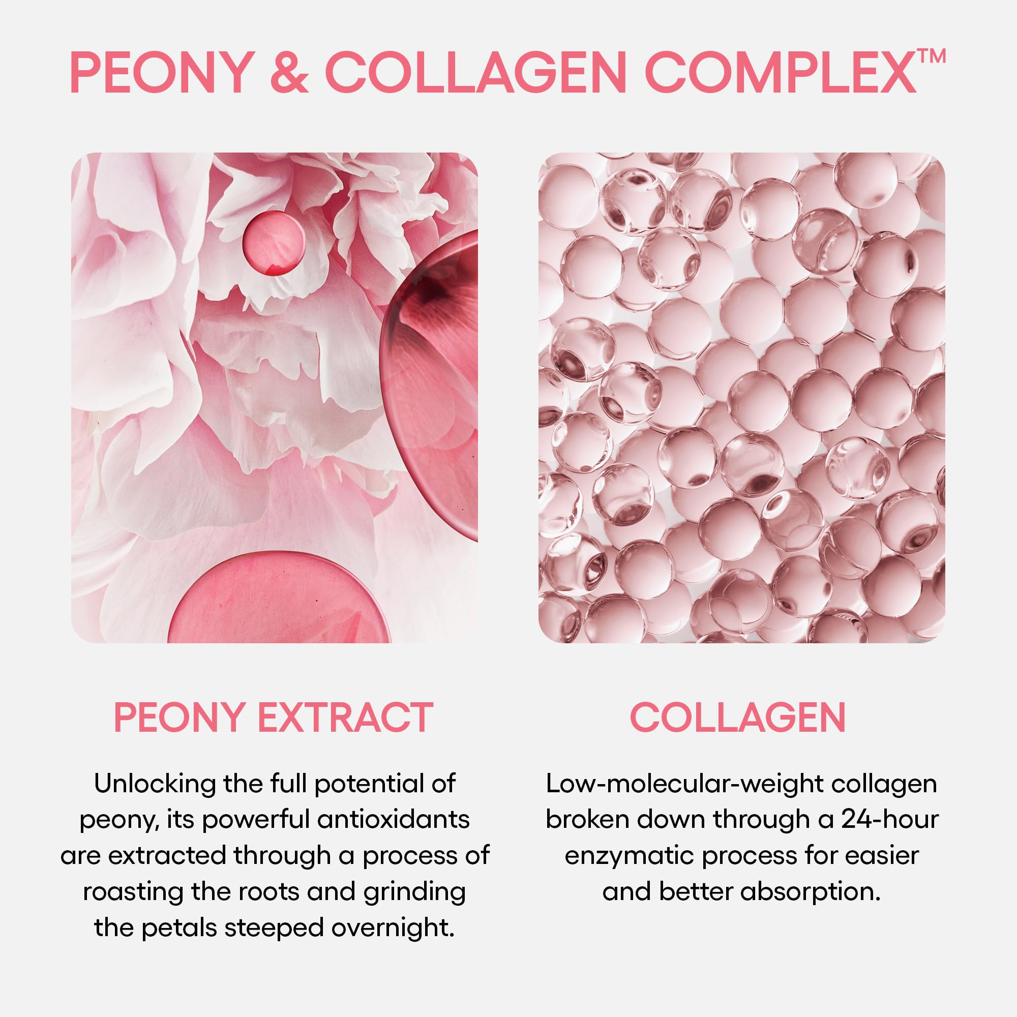 LANEIGE Bouncy and Firm Sleeping Mask: Revitalize, Smooth, Peony & Collagen Complex, Barrier-Boosting Hydration