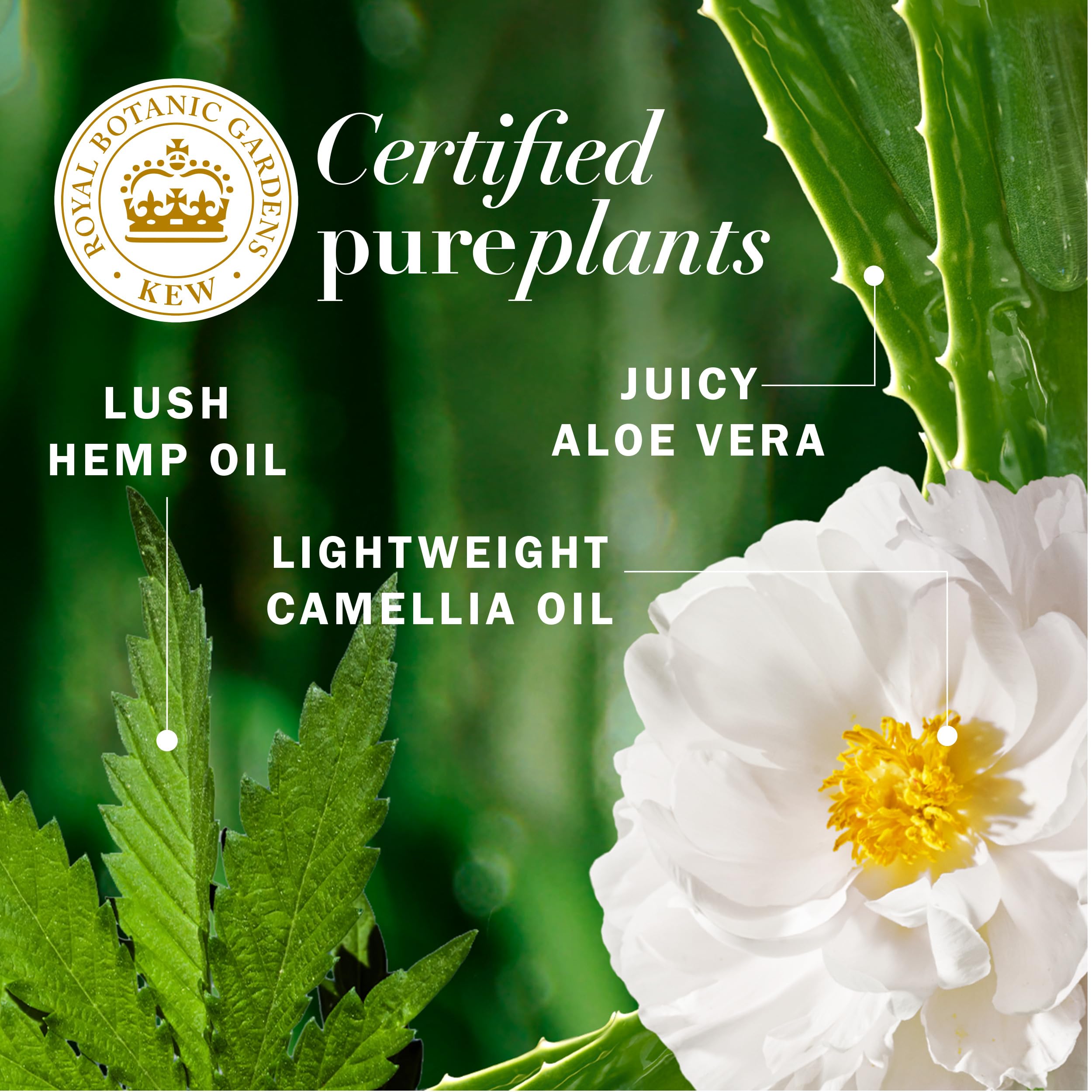 Herbal Essences bio:renew Hemp + Potent Aloe Conditioner for Frizz, 13.5 Fl Oz