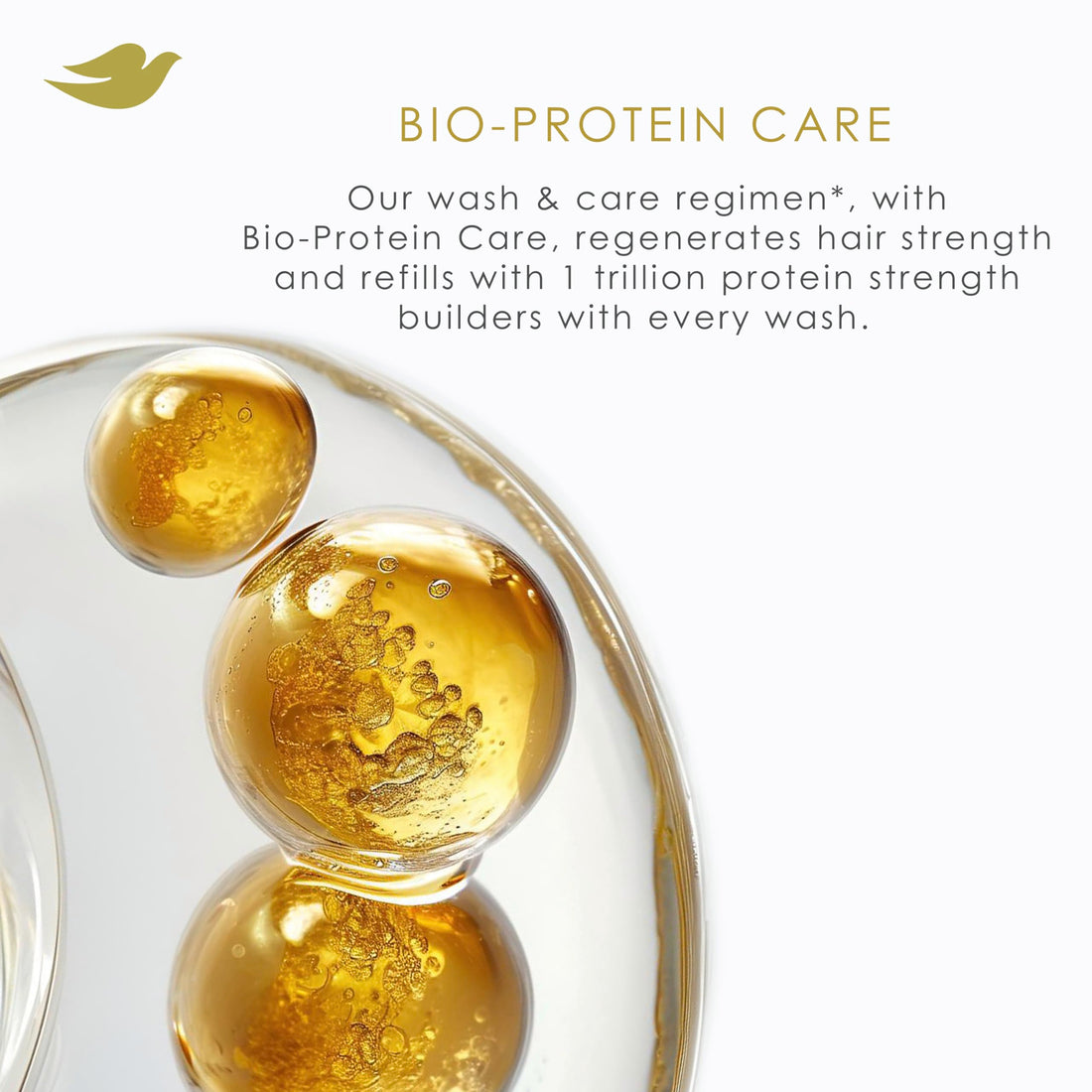 Dove Shampoo Argan Oil & Repair for Fine Hair with Bio-Protein Care Technology and Argan Oil Blend 12 Fl Oz