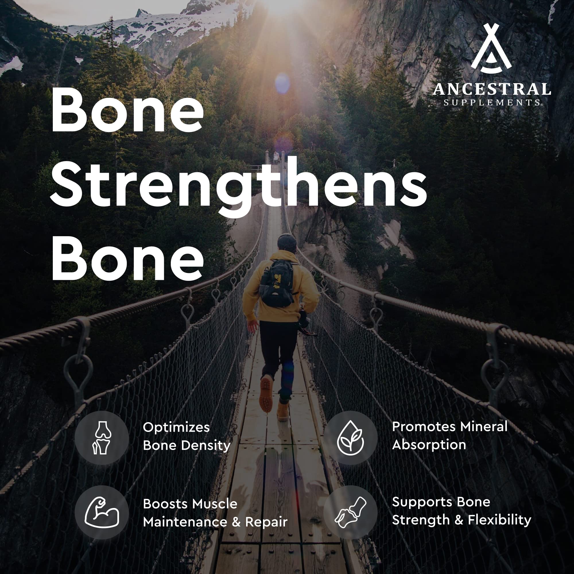 Ancestral Supplements Grass Fed Beef Living Bone Supplement, Bone Meal Capsules Support Bone Health, Oral and Joint Health and Flexibility, Non-GMO, 180 Capsules