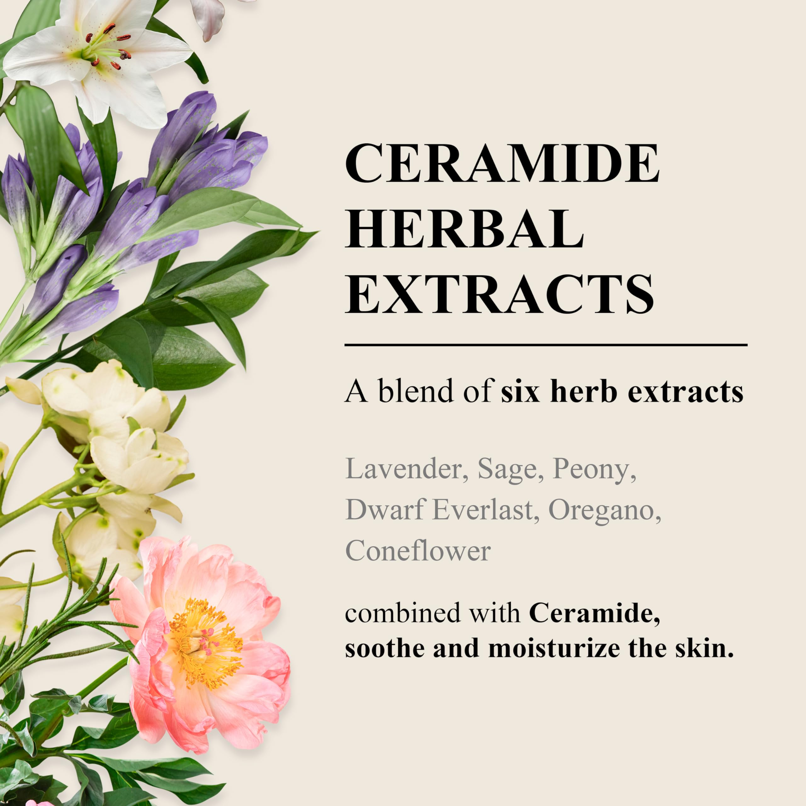 TEABLESS Sage Amber Purple Tea Perfumed Body Lotion, Daily Moisturizer, Body Lotion For Dry Skin & Sensitive Skin, Non-Greasy, Slow Aging, Floral Woody Scent, Korean Skin Care