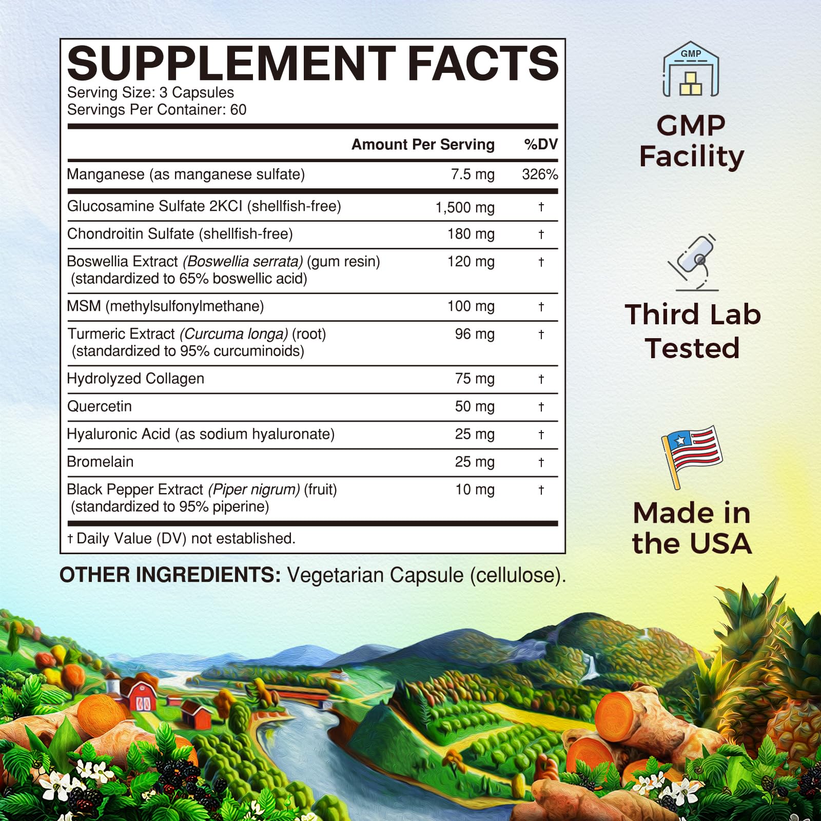 Vitalitown Glucosamine Chondroitin MSM, Joint Support Supplement, Turmeric, Collagen, 11-in-1 Joint Health Formula, Glucosamine Sulfate 1500 mg, No Shellfish, Joint Flexibility & Comfort, 180 Caps