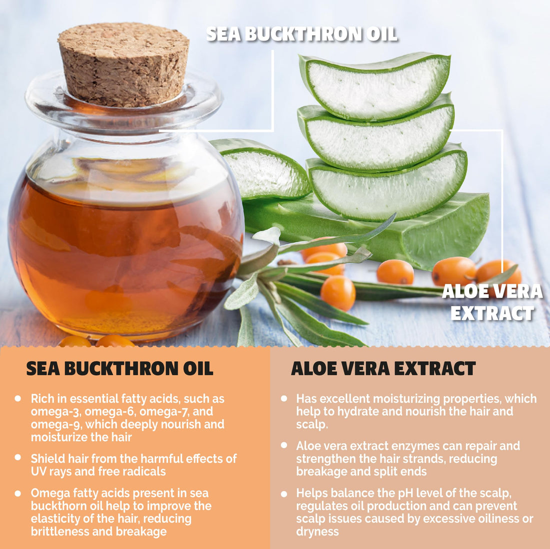 BOOTLEG BATH Hydrating Shampoo and Conditioner Bar with Sea Buckthorn Oil and Aloe Vera Extract, Vegan, Sulfate-Free, Phthalate-Free, Paraben-Free, Eco Friendly, 2.2 oz bar