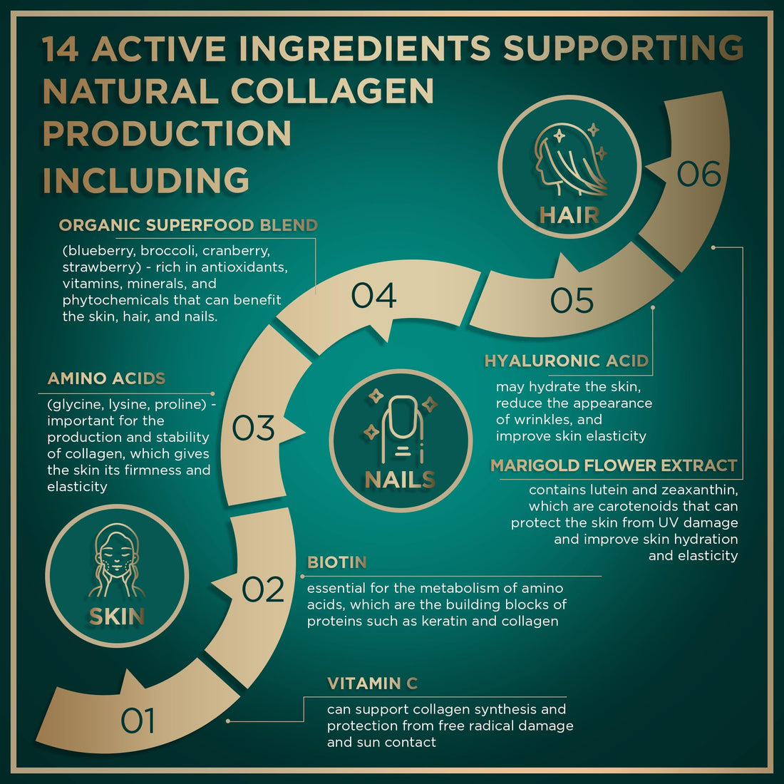 WILD FUEL Vegan Collagen Builder - Biotin, Organic Superfood, Amino Acids Glycine, Lysine, Proline Plant-Based Collagen Booster Supplements - 30 Organic Extract Tablets