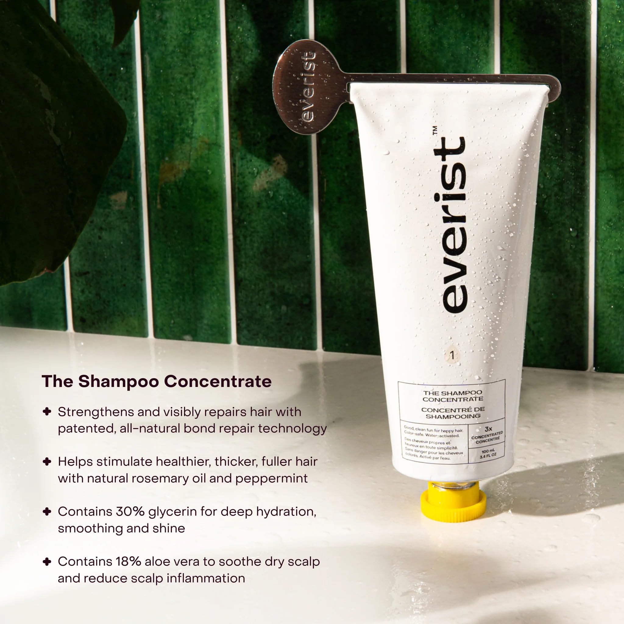 Everist The Haircare Essentials Duo, Deep Hydration and Smoothing, Plant-based, Color-safe, 50+ Uses, 3.4 fl oz Each