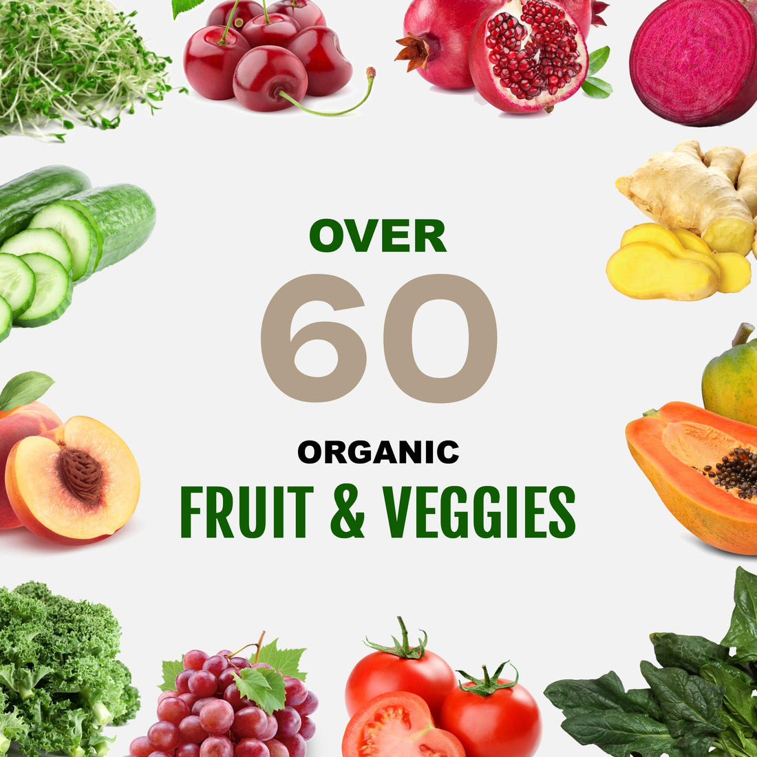 Vegan Sport Protein Powder Vanilla – 30g Plant Based Protein, VELOSITOL, BCAAs, Organic Greens & Fruits, Probiotics, Tart Cherry for Post Workout Recovery, Inform Sports Certified Keto - 20 servings