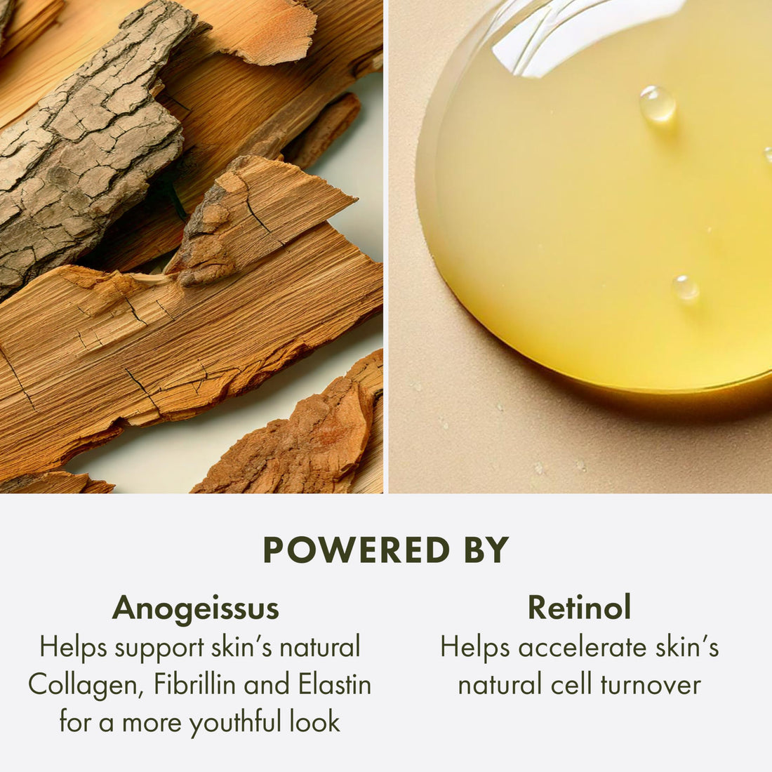 Origins Plantscription Retinol Night Moisturizer | Visibly Diminishes Lines, Pores & Uneven Skin Tone | With Peptide & Retinol, 1 Fl Oz