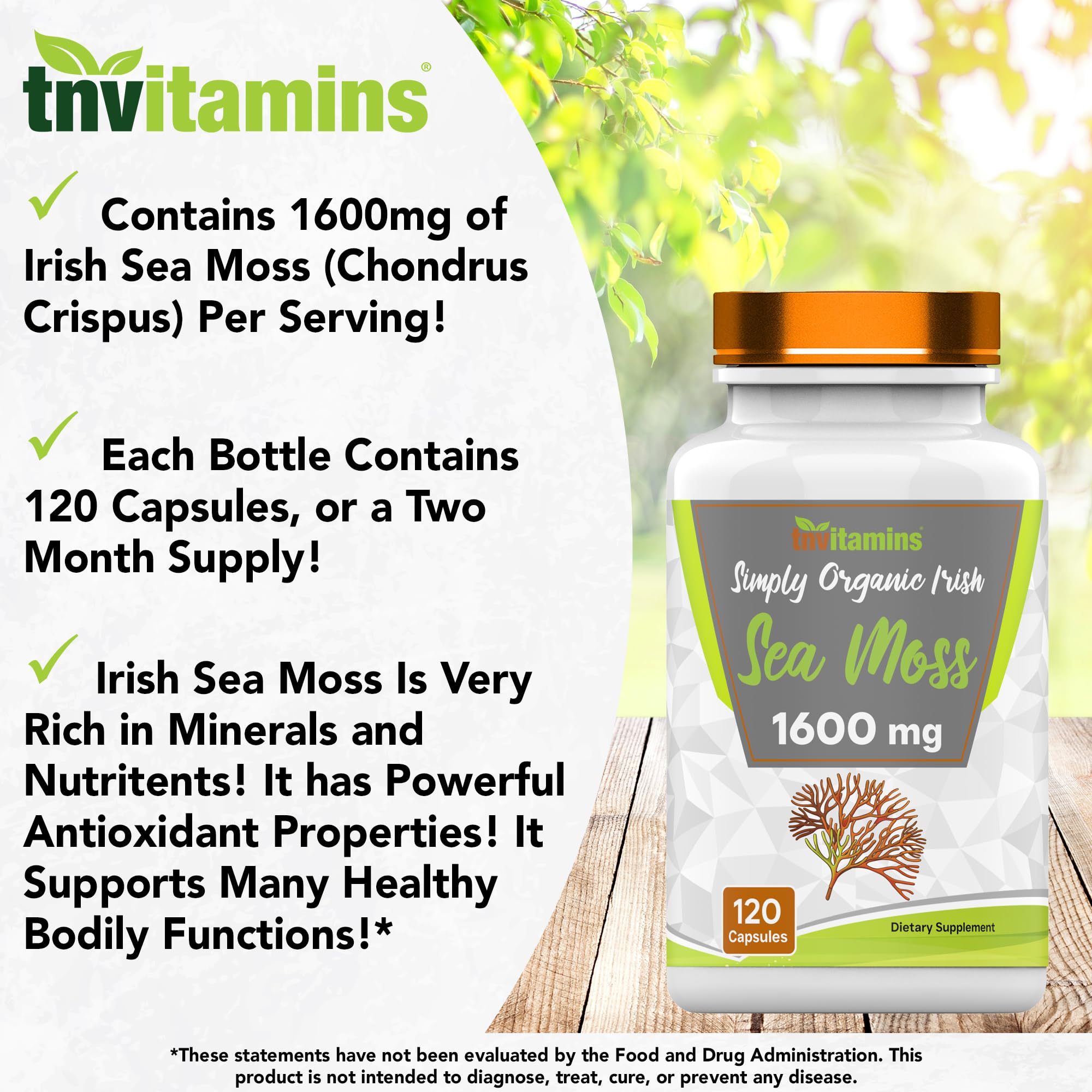 tnvitamins Organic Irish Sea Moss: 1600mg - 120 Capsules | Two Month Supplt Simply Organic Sea Moss Powder Capsules are Highly Potent, and Absorbable! | Non-GMO | Made in The USA!