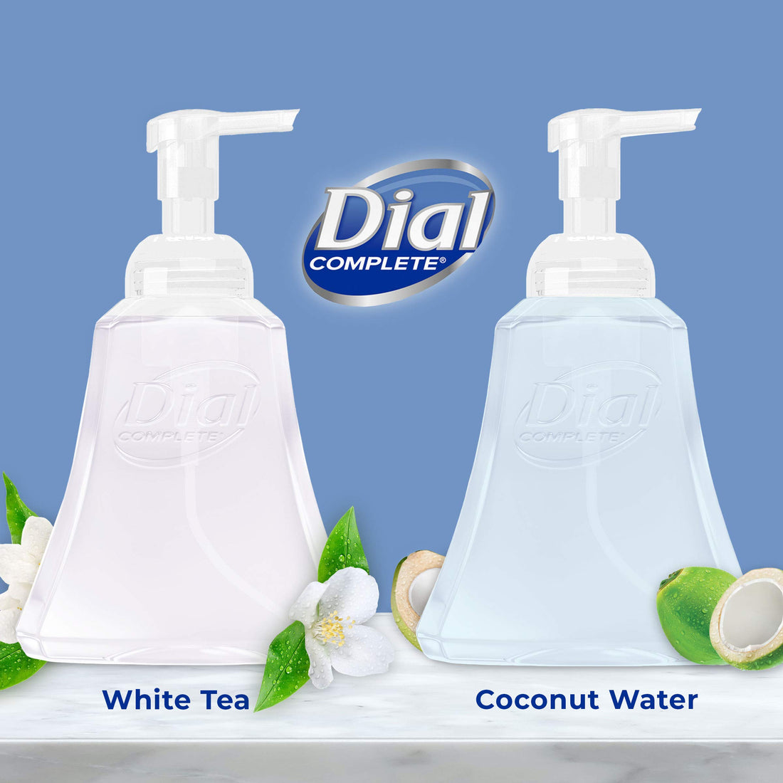 Dial Complete Antibacterial Foaming Hand Wash, Coconut Water/Soothing White Tea, 15 oz (Pack of 4)