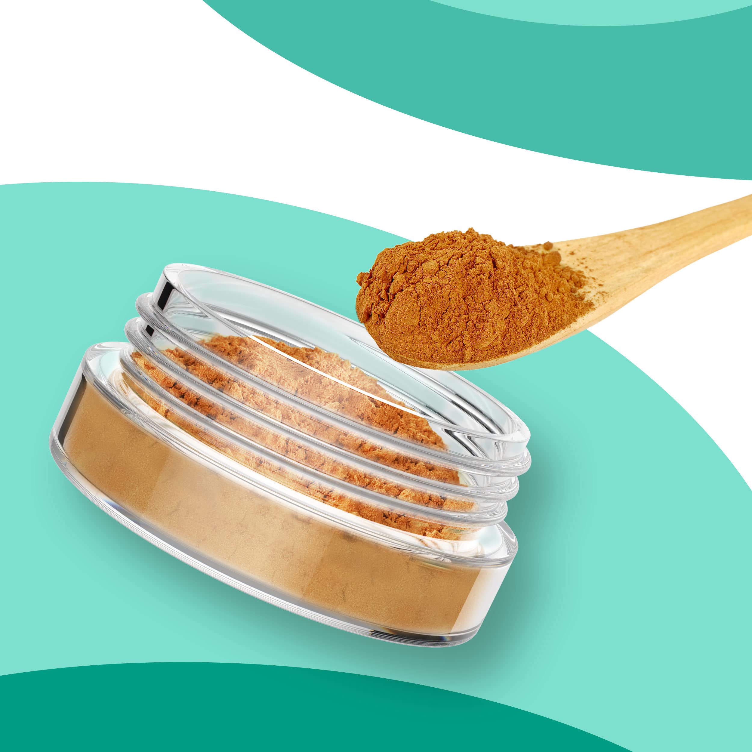 Houseables 3 Gram Jar, 3 ML, Clear, 50 Pk, BPA Free, Cosmetic Sample Empty Container, Plastic, Round Pot, Screw Cap Lid, Small Tiny 3g Bottle, for Make Up, Eye Shadow, Nails, Powder, Paint, Jewelry