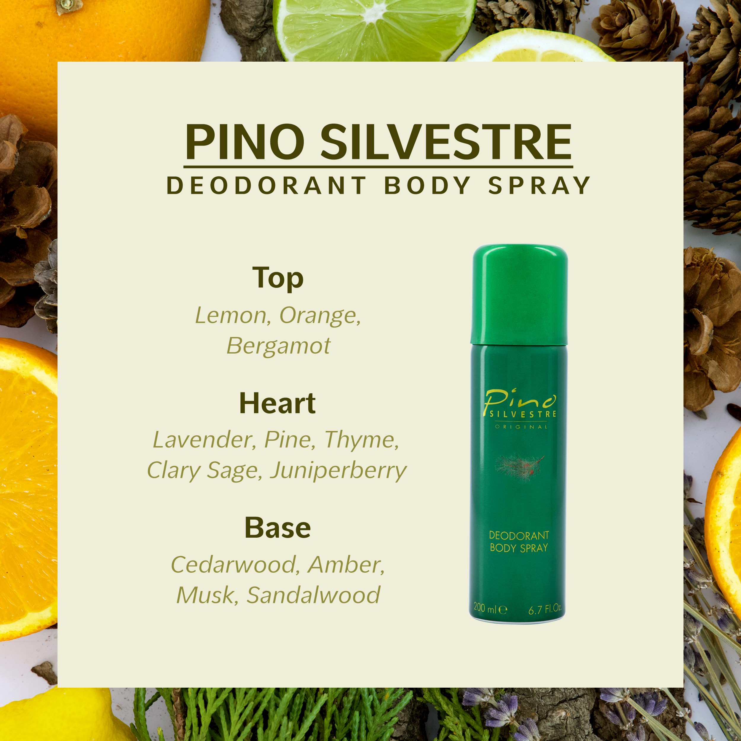 Pino Silvestre By Pino Silvestre