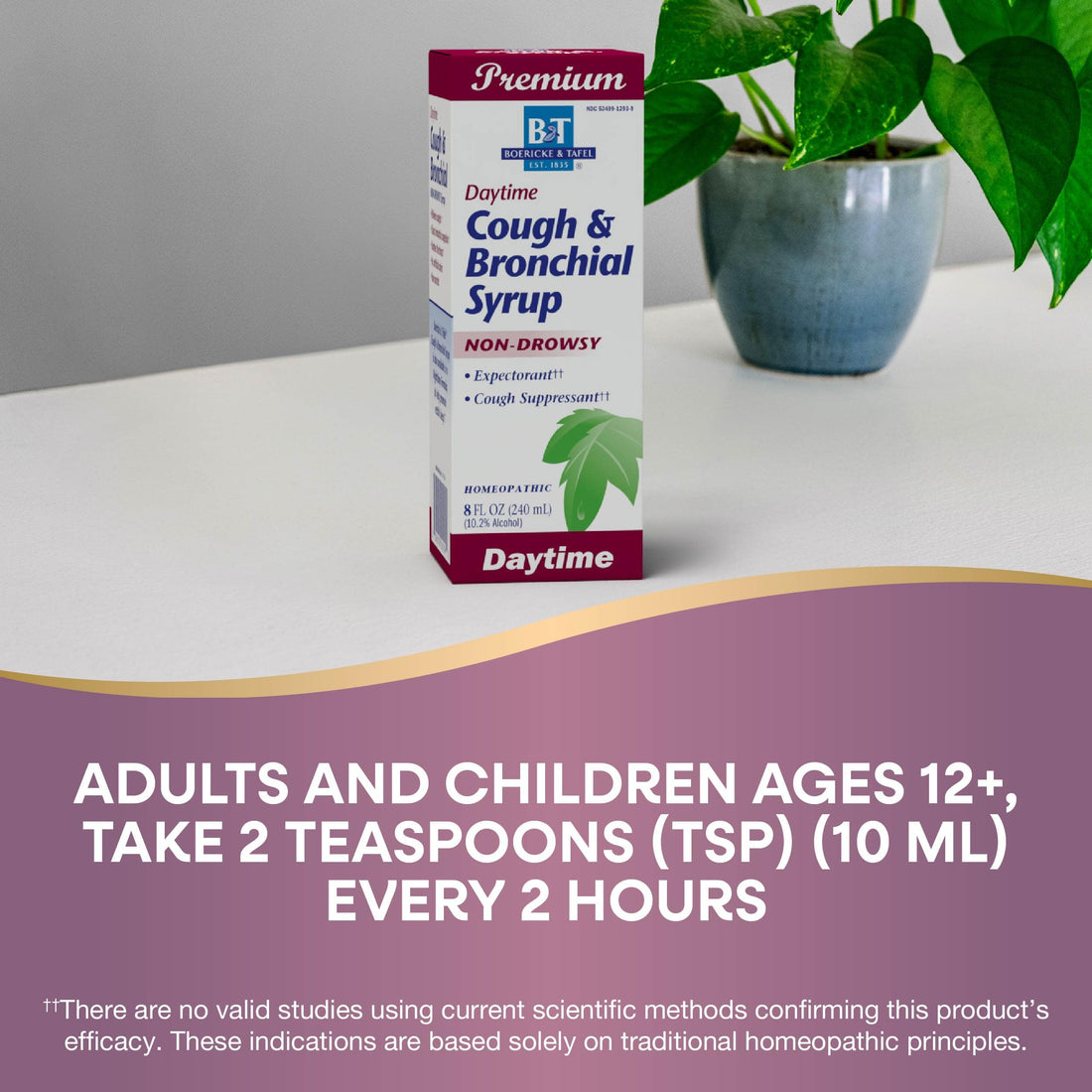 Nature's Way Boericke & Tafel Daytime Cough & Bronchial Syrup, Cough Suppressant & Expectorant, Non-Drowsy, 8 Fl. Oz