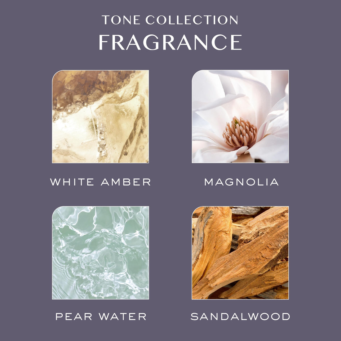 Kristin Ess Hair The One Purple Shampoo - Toning for Blonde Hair, Neutralizes Brass + Yellow Tones, Sulfate Free, 33.8 fl oz