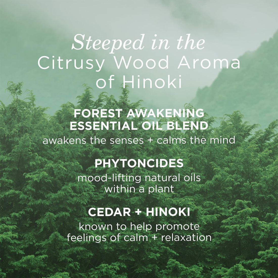 TATCHA Forest Awakening Hinoki Body Oil | Fast-Absorbing Silky Oil, 100 ml | 3.4 fl oz