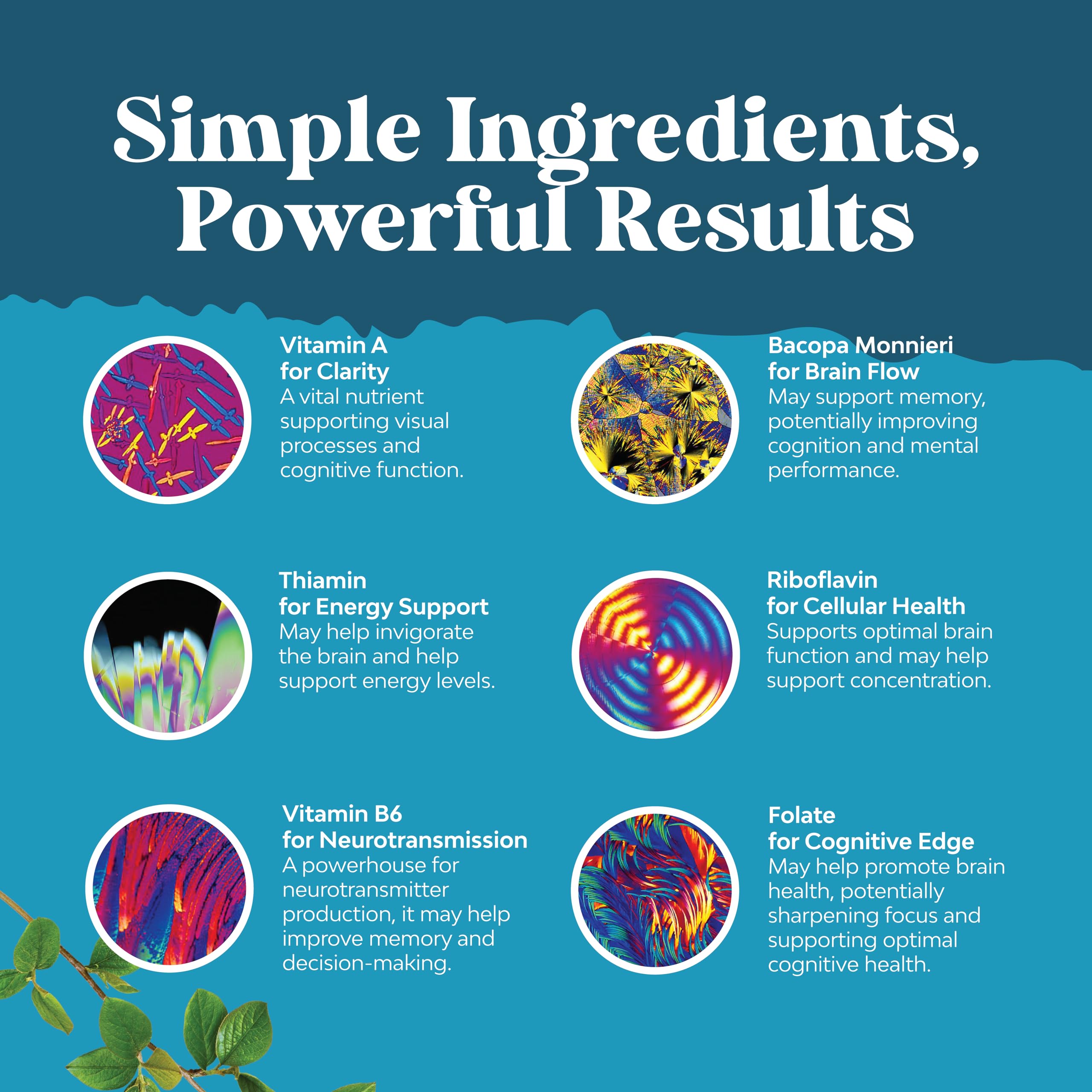 Nootropics Brain Support Supplement - Mental Focus Nootropic Memory Supplement for Brain Health & and Performance Blend, with Energy and Vitamins DMAE Bacopa and Phosphatidylserine Capsule