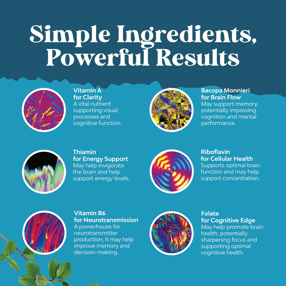 Nootropics Brain Support Supplement - Mental Focus Nootropic Memory Supplement for Brain Health & and Performance Blend, with Energy and Vitamins DMAE Bacopa and Phosphatidylserine Capsule