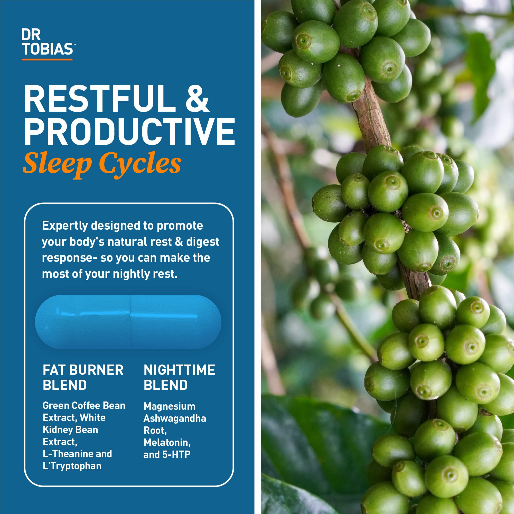 Dr. Tobias Fat Burner Nightly, Night Time Metabolic Support with White Kidney Bean Extract, Ashwagandha Root, Green Coffee Bean Extract & Melatonin, Non-GMO, 60 Capsules (30 Day Supply)