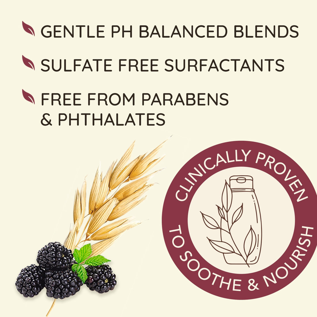 veeno Blackberry Quinoa Protein Blend Sulfate-Free Conditioner for Color-Treated Hair Protection, Daily Strengthening & Moisturizing Conditioner, Paraben & Dye-Free,White, 12 Fl Oz