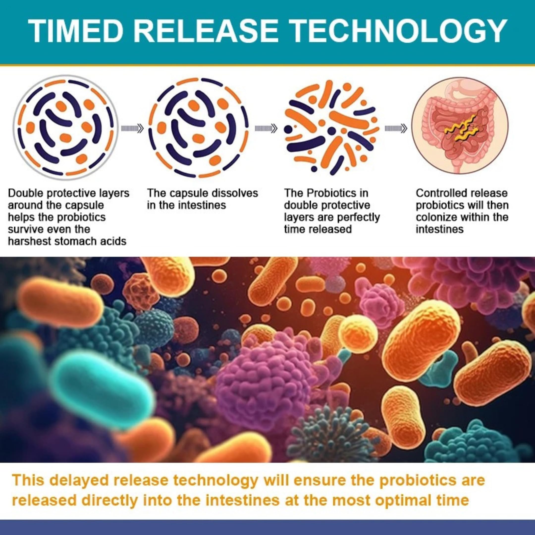 TheraSuva Probiotics 120 Billion CFU-36 Strains + Organic Prebiotics + Digestive Enzyme + Natural Whole Food Supplement for Ultimate Gut Health Support- 120 Softgels 60 Day Supply