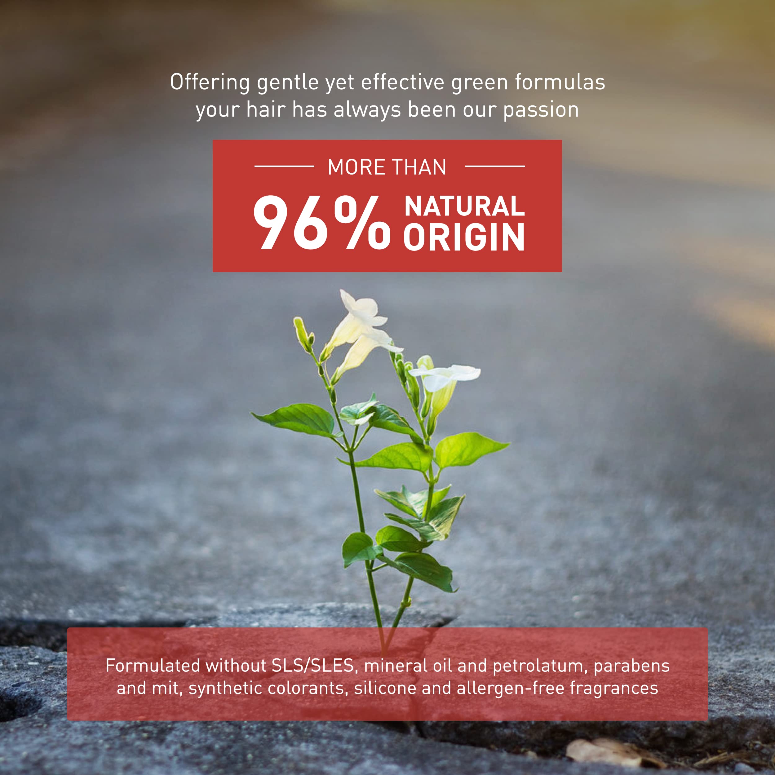 INSIGHT Clean Beauty Moisturizing Shampoo with Organic Macadamia Oil, Hydrating & Vegan, 13.5 fl oz