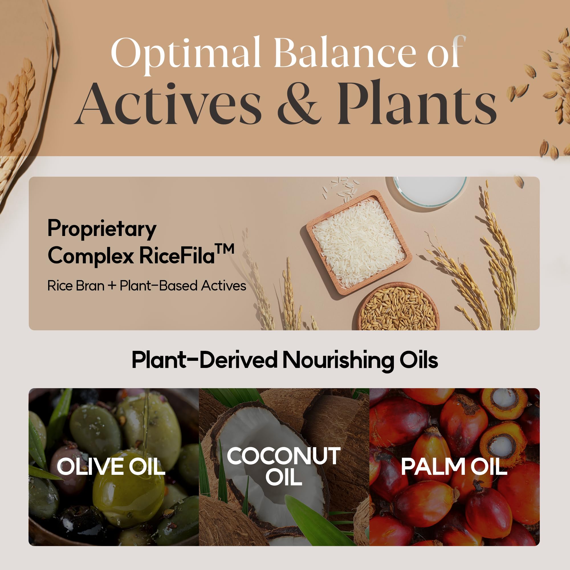 HAYEJIN Rice Bran Oil for Body | Moisturizing Body Oil For Men & Women | Hydrating Body Oil w/Fermented Rice Bran Oil for Skin | Refreshing Body Oil for Dry Skin 6.76 Fl Oz