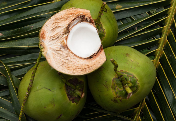 Nook Purifying Shampoo 16.90 oz | 500ml | anti-dandruff