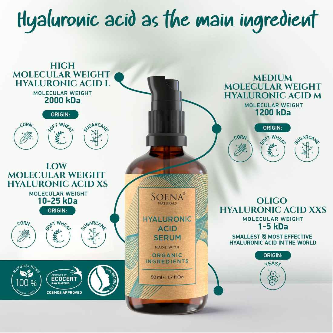 Organic Hyaluronic Acid Serum for Face | Best Hyaluronic Acid (Oligo) + 4 Hyaluronic Sizes - Highly Dosed | Hydrating Serum - Aging-Aging Moisturizer – Fragrance-Free | Made in Germany