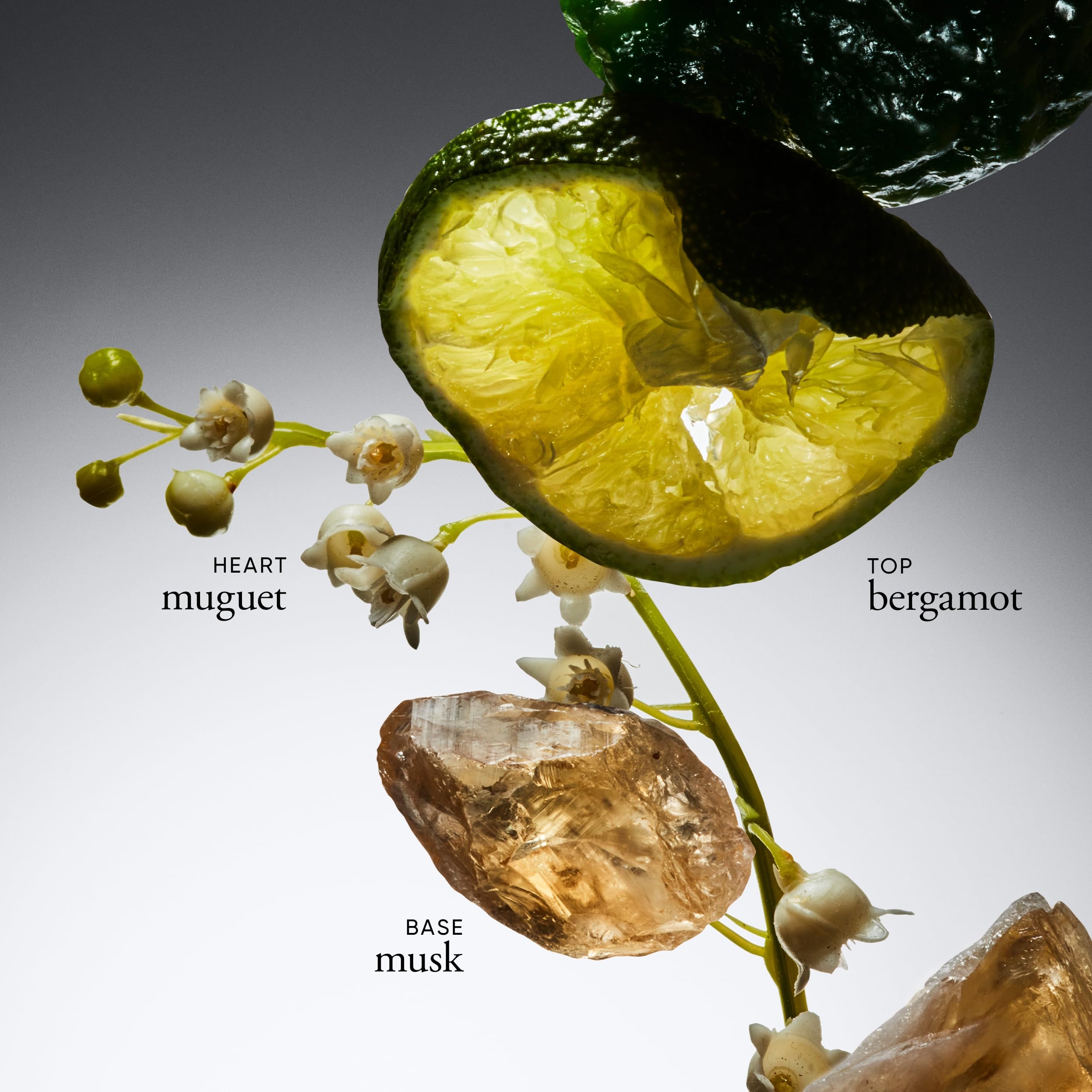 philosophy amazing grace eau de toilette 2 oz, 2 fl. oz.