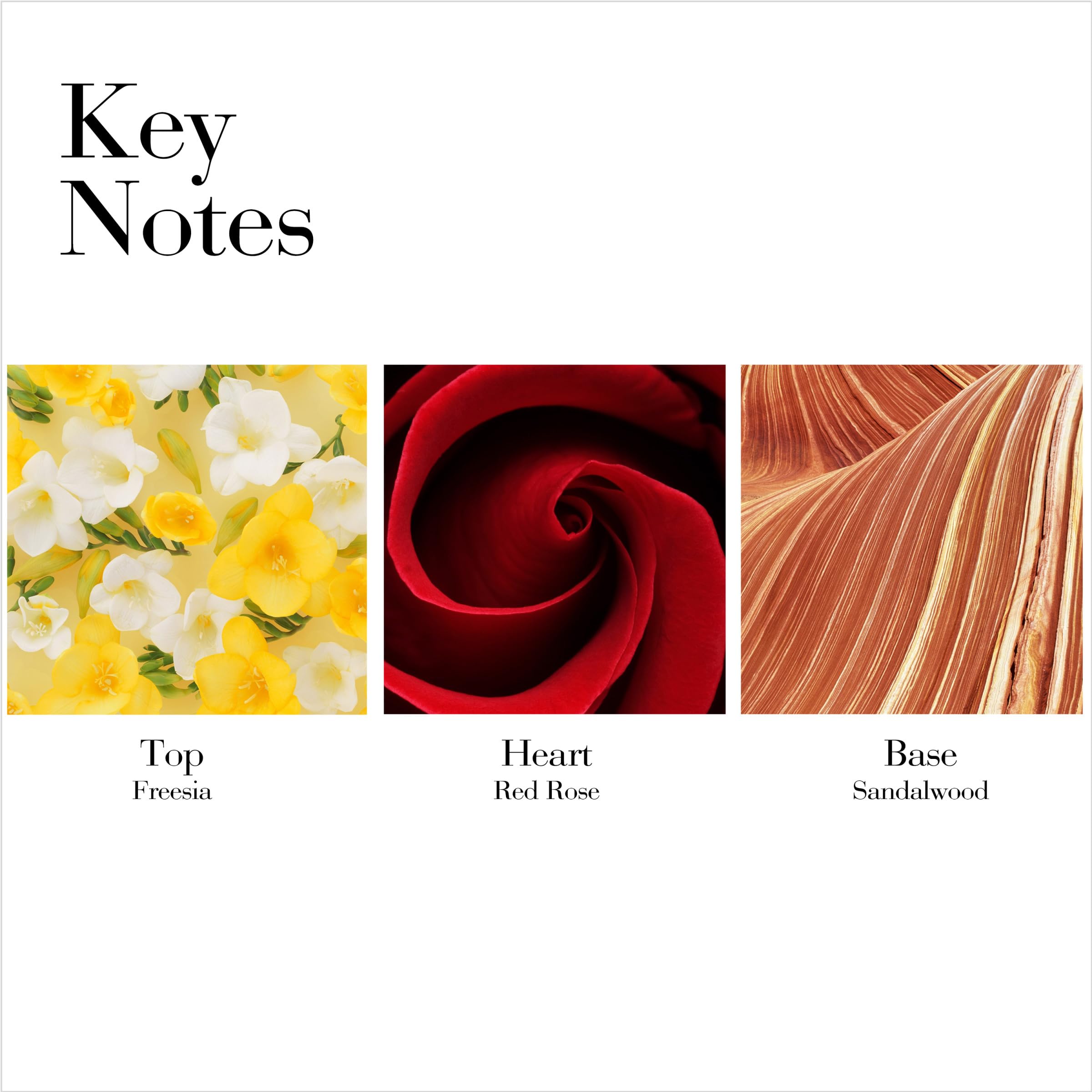 Elizabeth Arden Red Door For Women, 1.7 Fl Oz