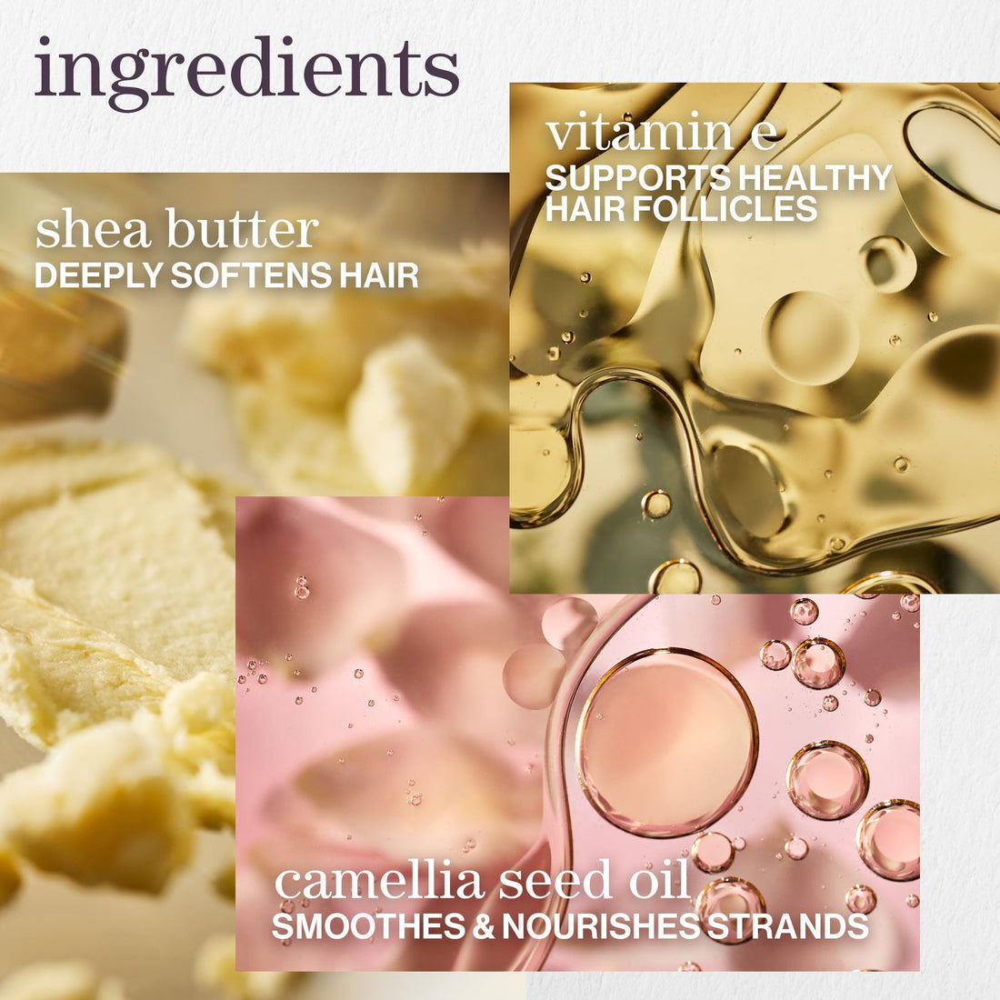 Pureology Smooth Perfection Conditioner | For Frizzy, Color-Treated Hair | Detangles & Controls Frizz | Sulfate-Free | Vegan | Updated Packaging | 9 Fl. Oz. |