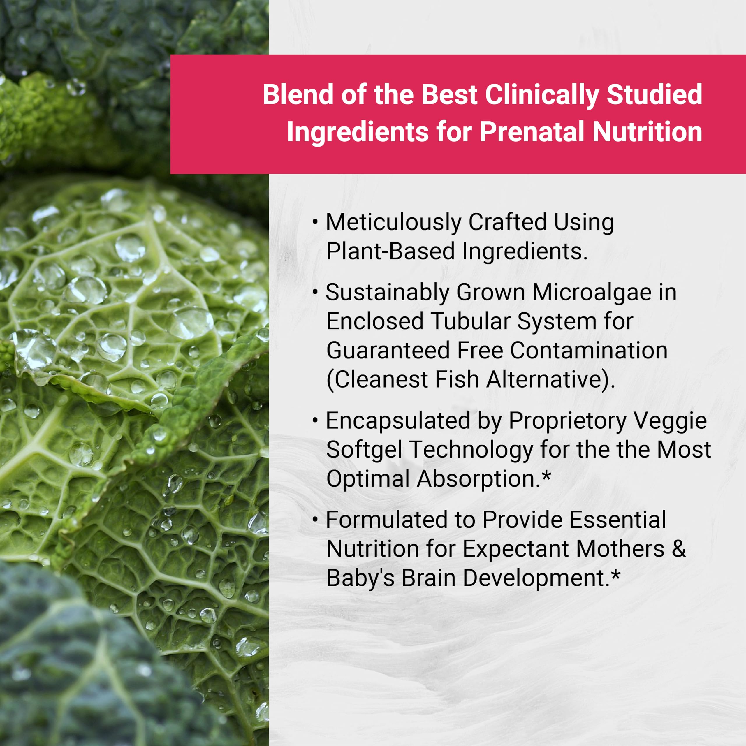 Naturalis Vegan Prenatal with Full Specrum Omega-3 | Algae DHA, EPA, DPA, Vitamin D3 & Active Folate L 5-MTHF | Vegan Society Certified, Sustainably Sourced, Non-GMO & Soy Free | 60 Veggie Softgels