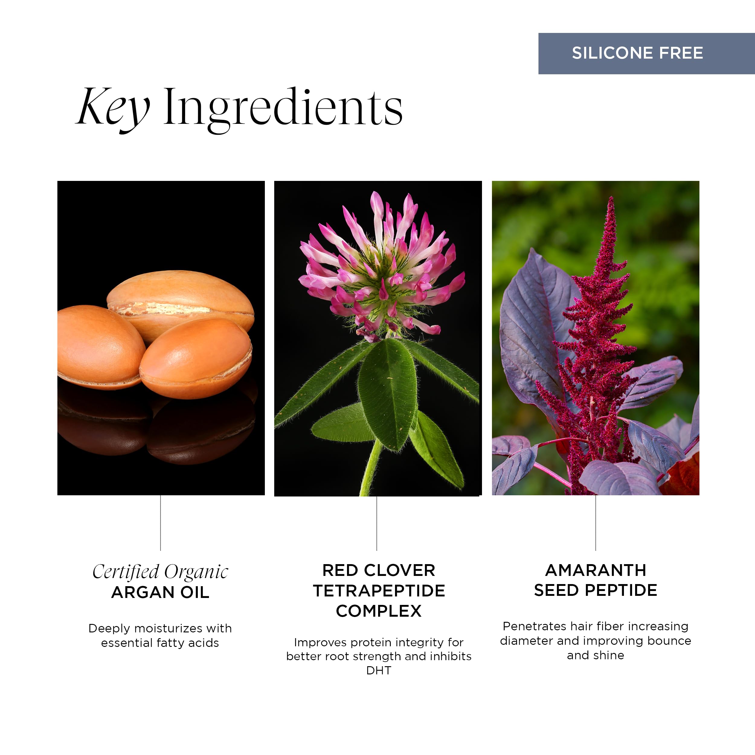 Pure Plenty Conditioner Boosts Volume and Shine for Fine, Thinning Hair, Organic Replenishing Formula, Vegan, 8.5 Oz