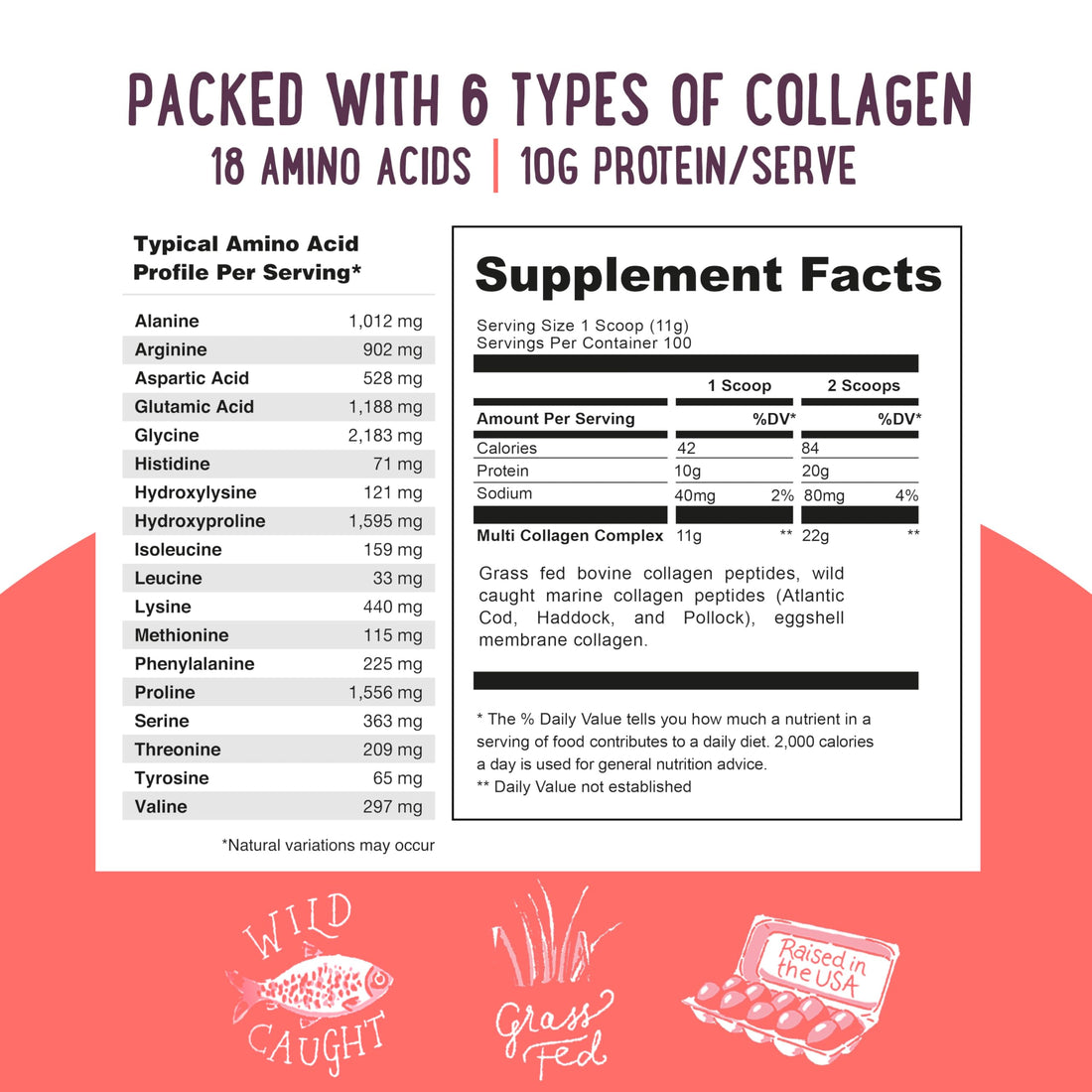 Multi Collagen Protein Powder Value Pack (100 Servings) - Unflavored & Hydrolyzed with 6 Types (1, 2, 3, 4, 5 & 10) - Pure Collagen Peptides for Women - Grass Fed Beef, Wild Fish & USA Eggshell