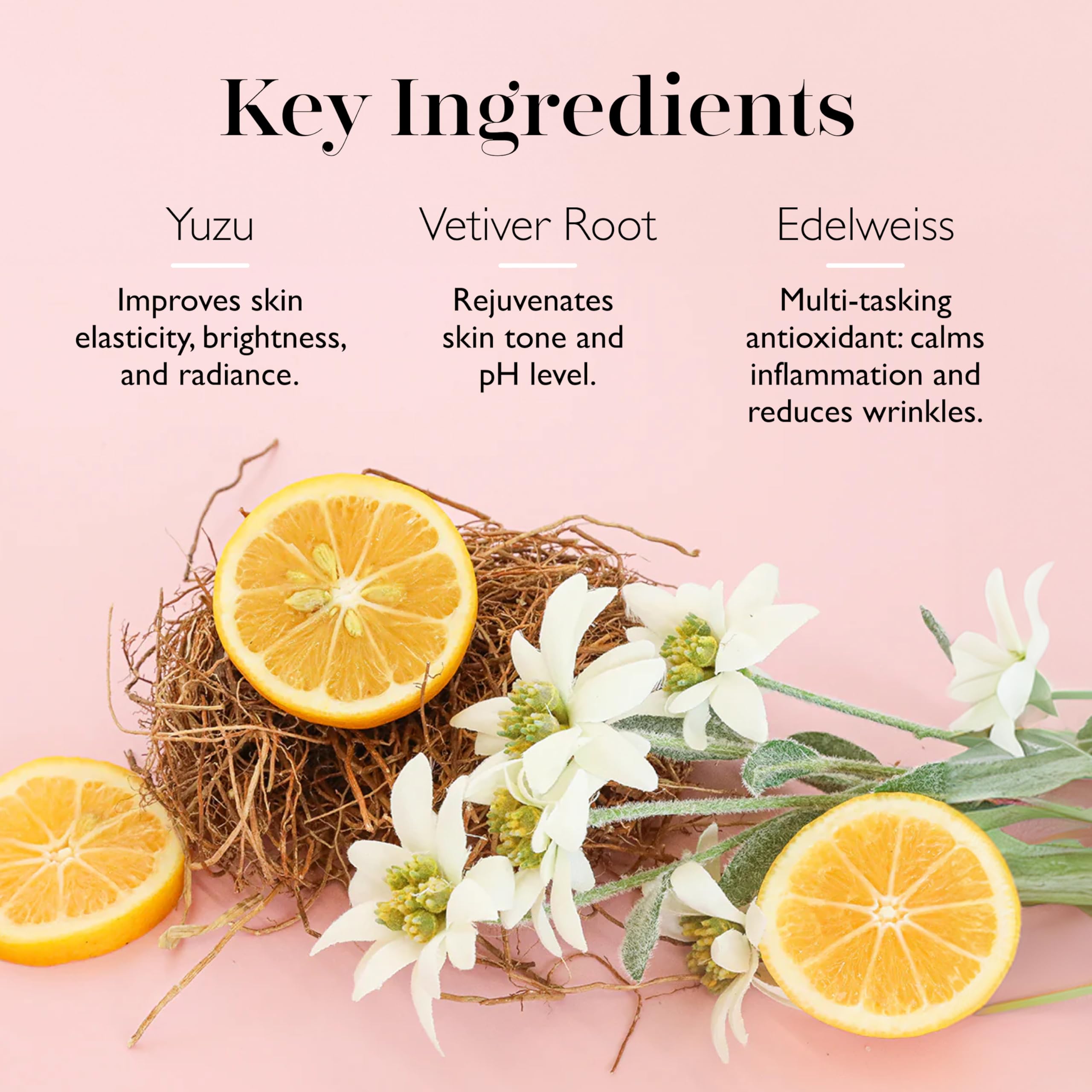 Spongelle Wild Flower 14+ Uses Bath Mitts And Cloths, French Lavender