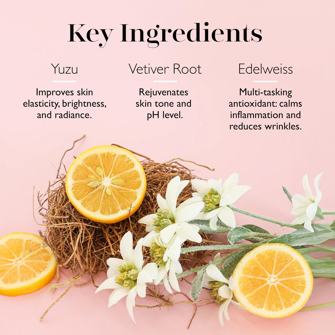 Spongelle Wild Flower 14+ Uses Bath Mitts And Cloths, French Lavender