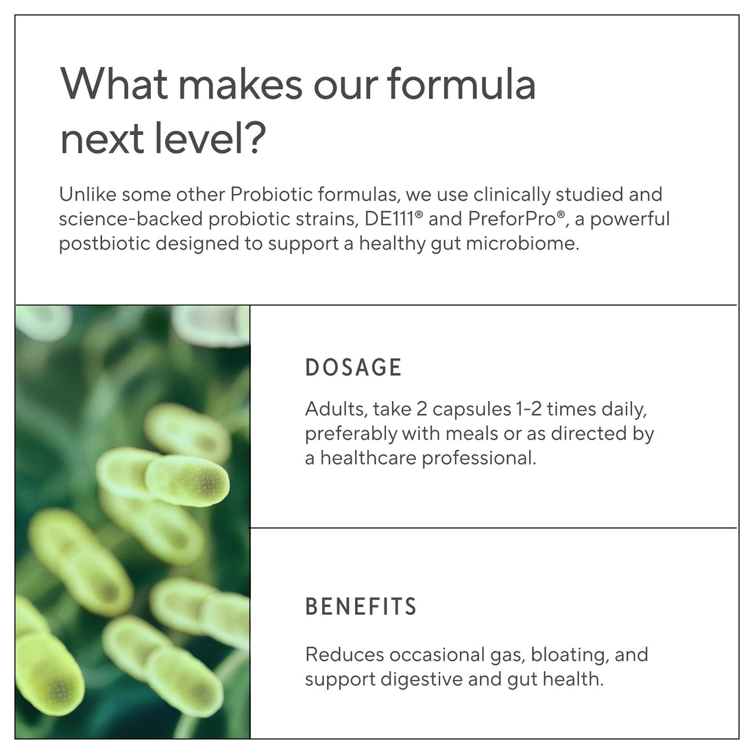 Premium 4-in-1 Probiotic Prebiotic, Postbiotic & Digestive Enzymes for Men & Women – Supports Gut, Digestion & Immunity –Complete Gut Health with Pre, Post, Probiotics & Digestive Enzymes–60 Capsules