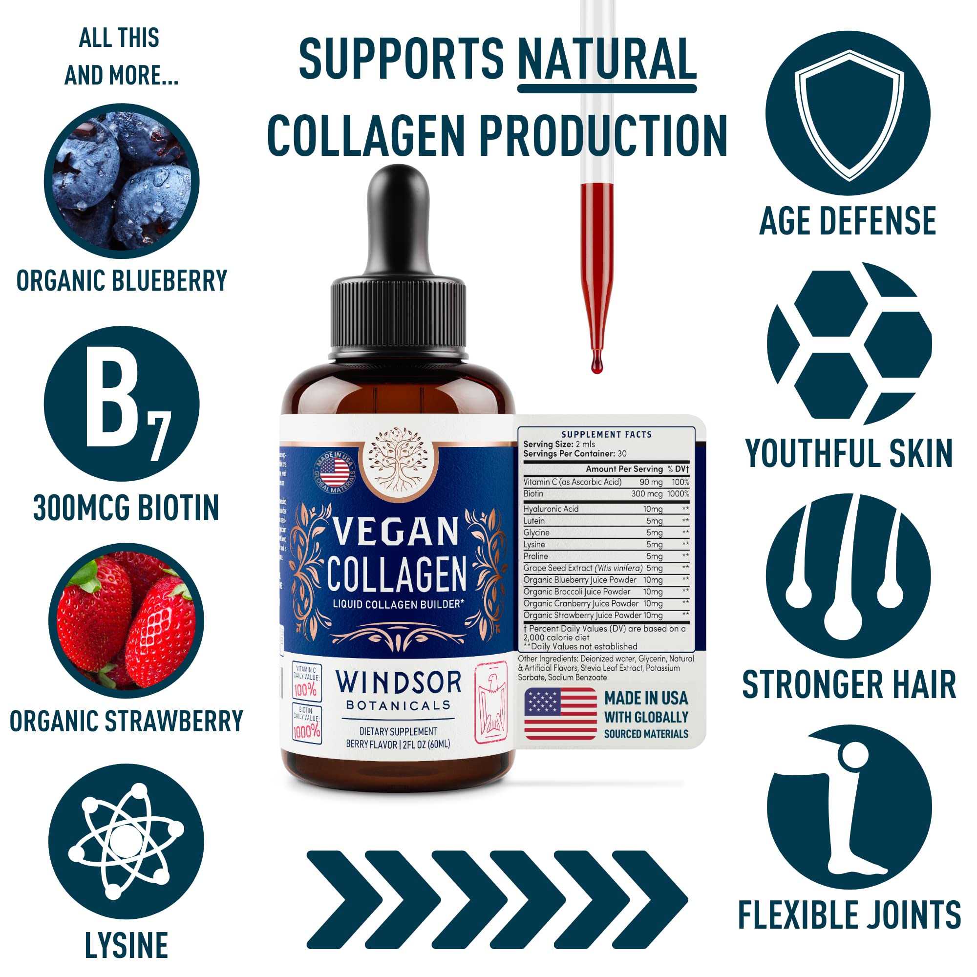 WINDSOR BOTANICALS Vegan Collagen Builder Liquid Supplement - Collagen Booster with Vitamin C, Biotin, Hyaluronic Acid & Amino Acids - Organic Fruit & Vegetable Blend - 60ml, 30 Day