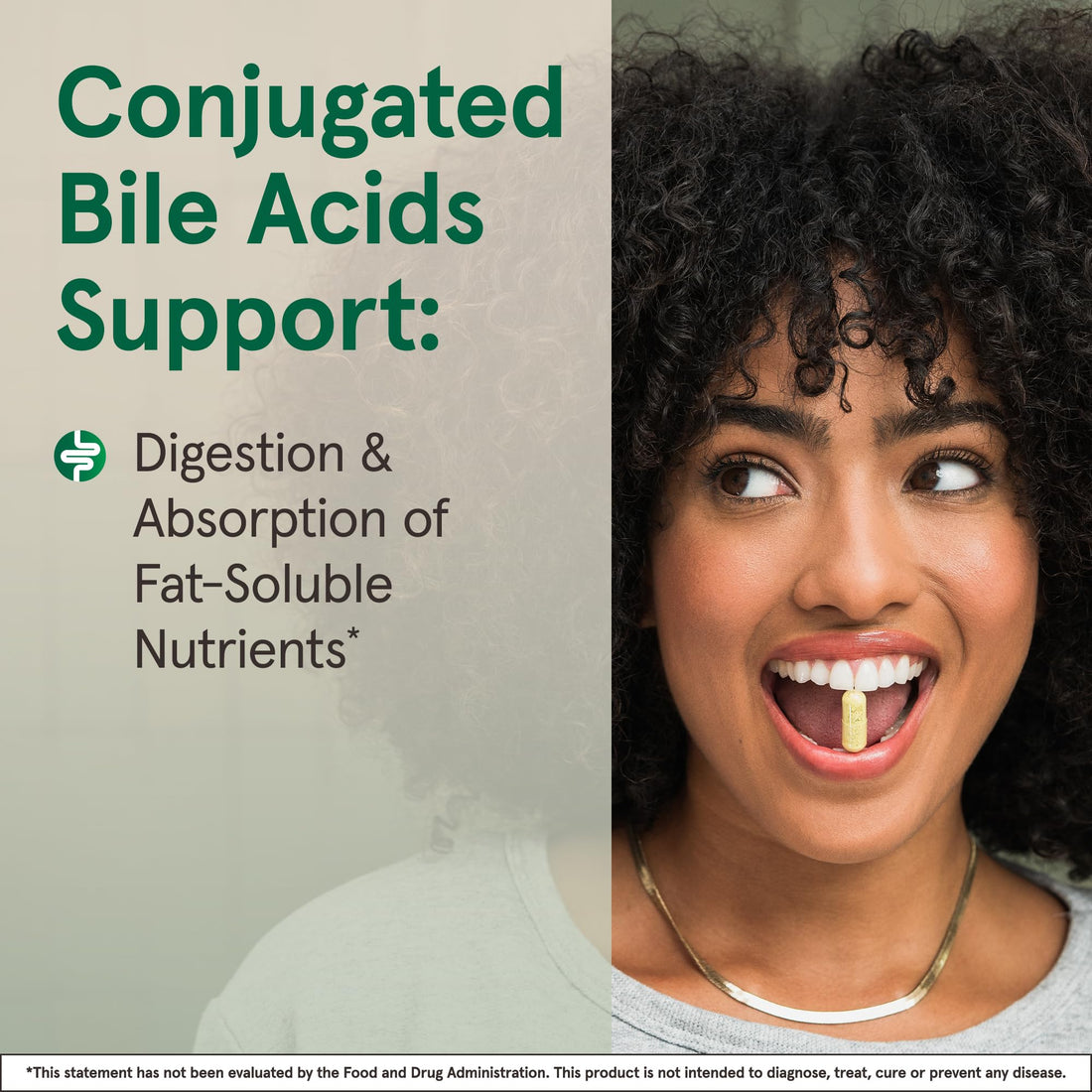 Jarrow Formulas Bile Acid Factors 1000 mg with Conjugated Bile Acids, Dietary Supplement for Digestion Support and Absorption of Fats & Fat-Soluble Nutrients, 120 Capsules, 30 Day Supply, Pack of 12