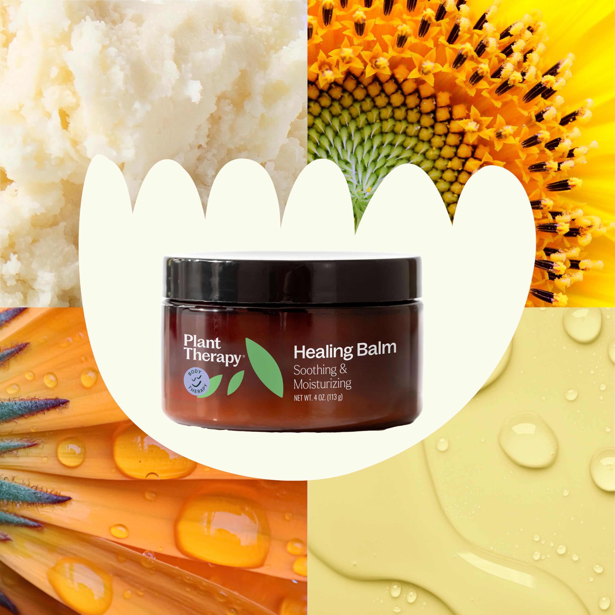 Plant Therapy Healing Balm 4 oz 100% Pure & Natural, Nutrient-Rich Botanical Formula, Soothing Ingredients: Shea Butter, Tamanu Oil, and Calendula Extract