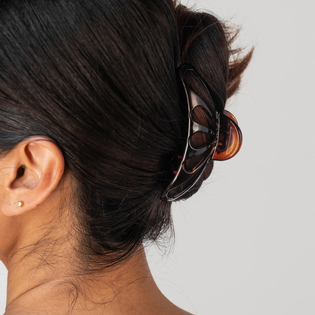 France Luxe Large Nautilus Jaw Tortoise