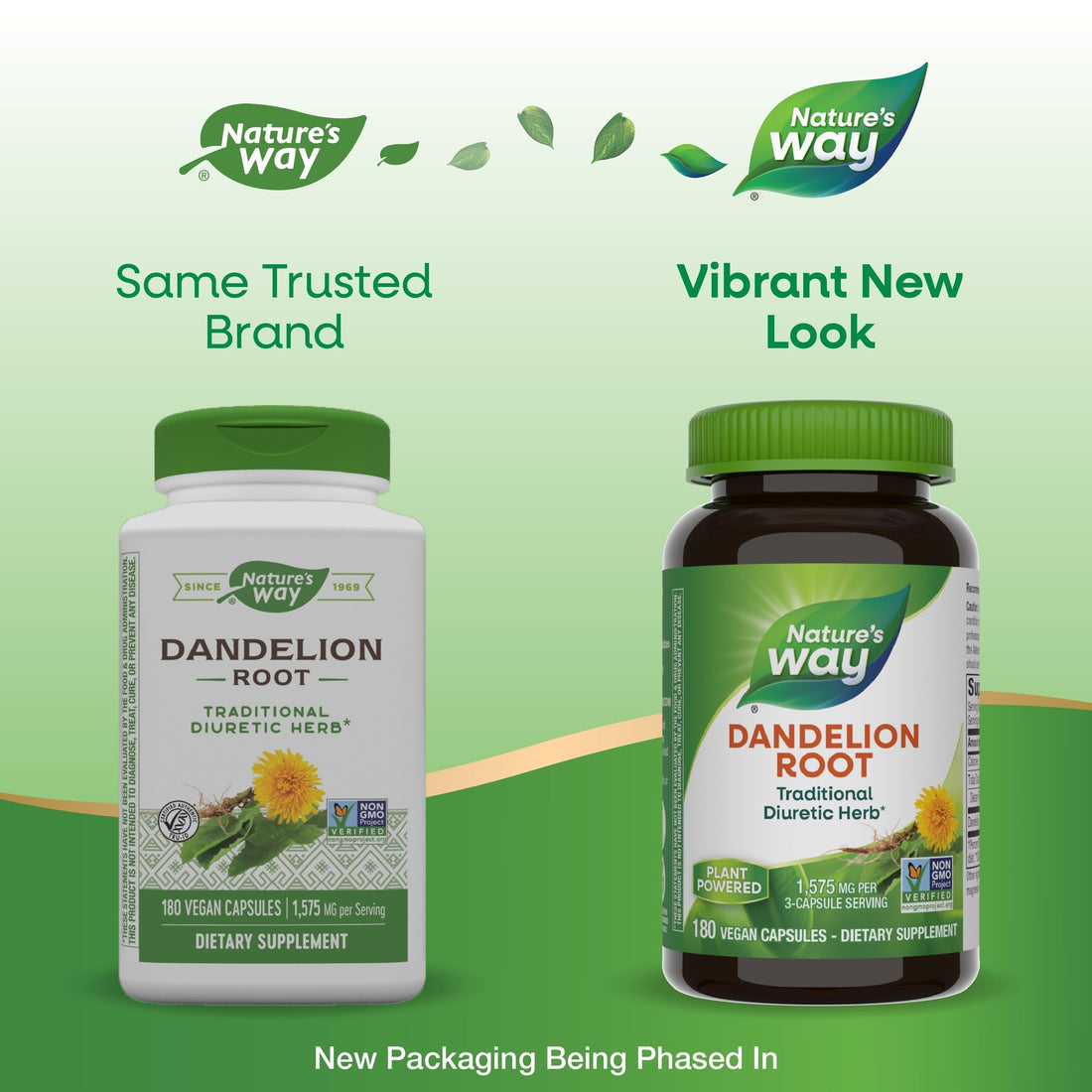Nature's Way Dandelion Root, Traditional Diuretic Herb*, Traditionally used to Soothe Digestive Upset*, Vegan, 180 Capsules (Packaging May Vary)