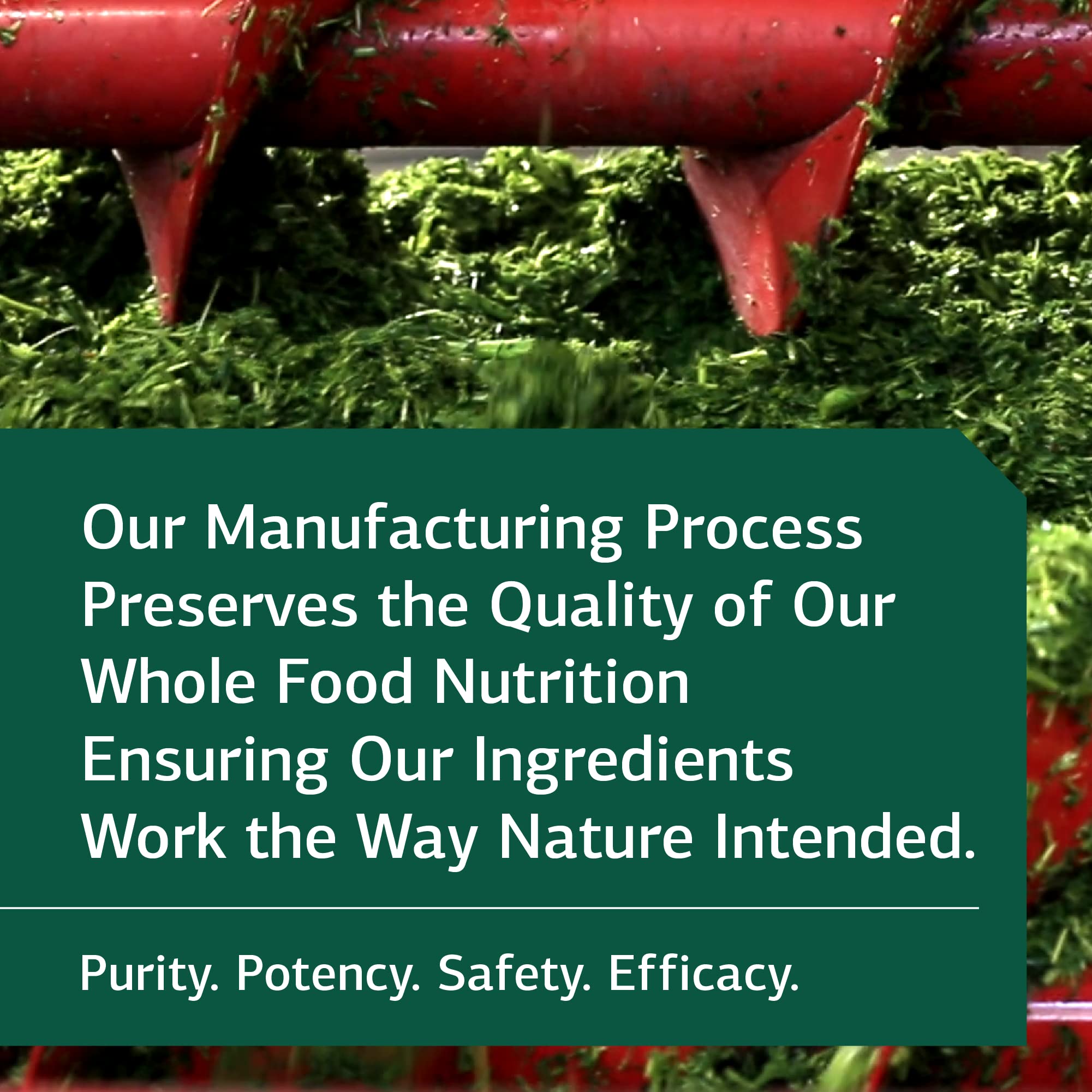 Standard Process Inc. Trace Minerals-B12 - Whole Food Spleen, Bone Health, Immune Support, Metabolism and Thyroid Support with Manganese, Kelp, Iodine, Copper, Vitamin B12, Zinc, Iron - 90 Tablets