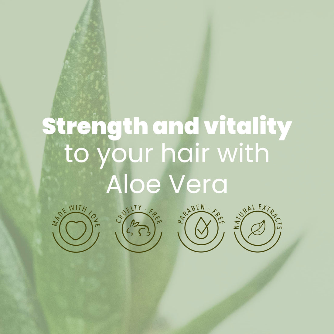 ANYELUZ Aloe Vera Shampoo and Conditioner Set, With Biotin, Provides Strength and Vitality to your Hair, Removes Excess Oil and Residues, for All Hair Types