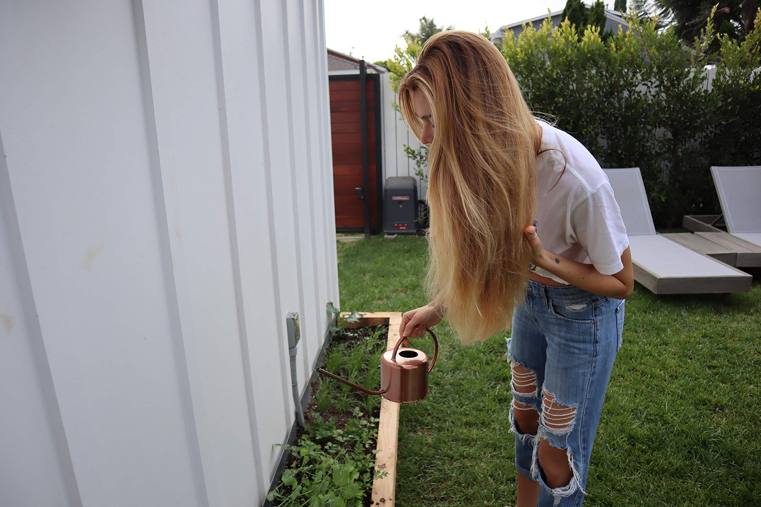 Zatik Naturals - Coconut and Calendula Deep Moisturizing Shampoo Vegan Bio-degradable pH balanced (10.8 fl oz 320 ml) for Colored and Dry Hair Free From Sulfates, phthalates & mineral oil