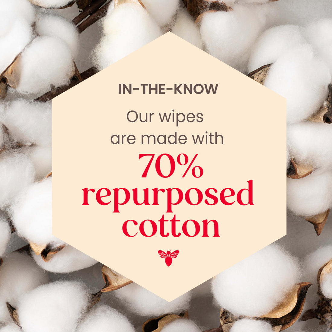 Burt's Bees Micellar Facial Towelettes With Rose Water, Pre-Moistened Towelettes for All Skin Types, 99.5 Percent Natural Origin Skin Care, 10 ct. Package